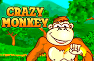 Crazy Monkey