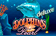 Dolphins Pearl Deluxe