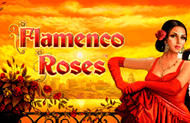 Flamenco Roses