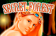 Secret Forest