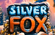 Silver Fox