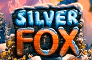 Silver Fox