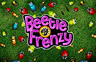 Beetle Frenzy