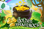 Golden Shamrock