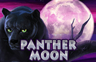 Panther Moon