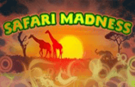 Safari Madness