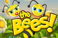 The Bees