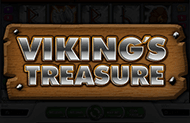 Viking's Treasure