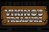 Viking's Treasure