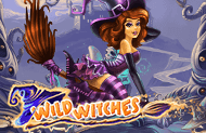 Wild Witches