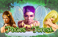 Pixies Of The Forest