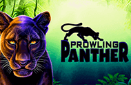 Prowling Panther