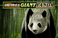 Автомат Untamed Giant Panda на реальные деньги