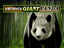 Автомат Untamed Giant Panda на реальные деньги